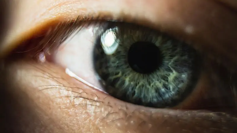 Five Eyes Export Control Agreement