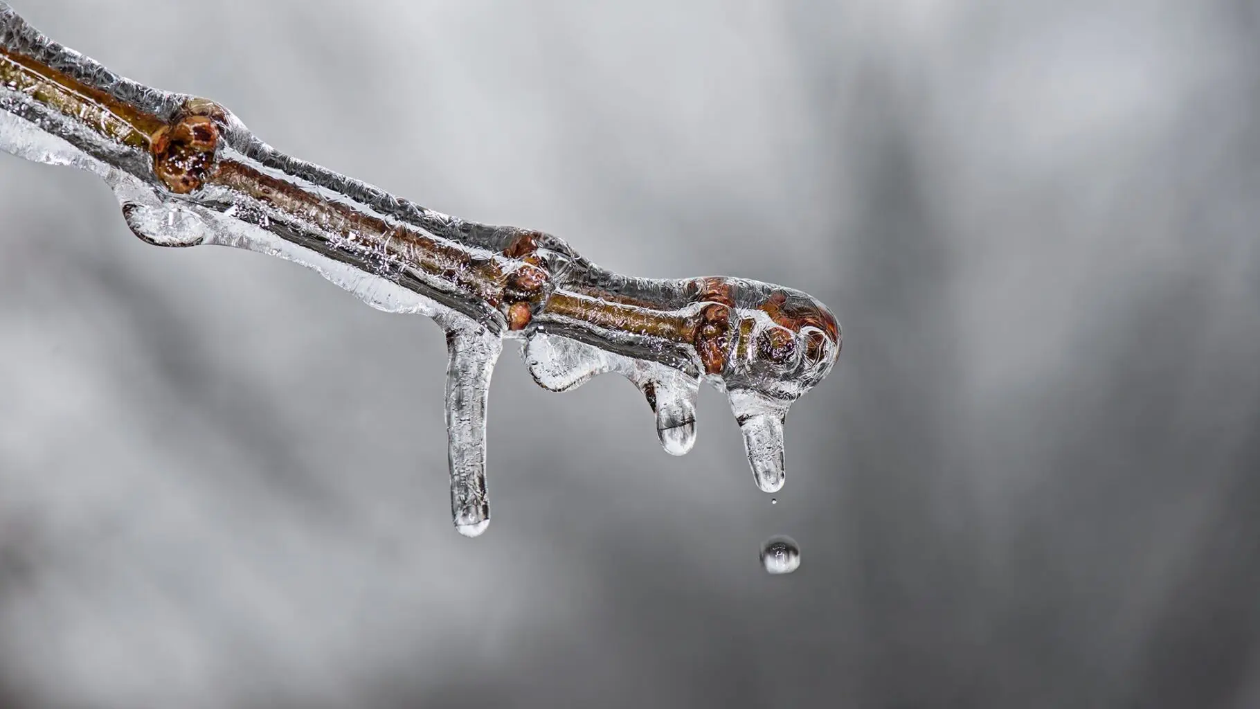 Freeze-Thaw MIL-STD-810