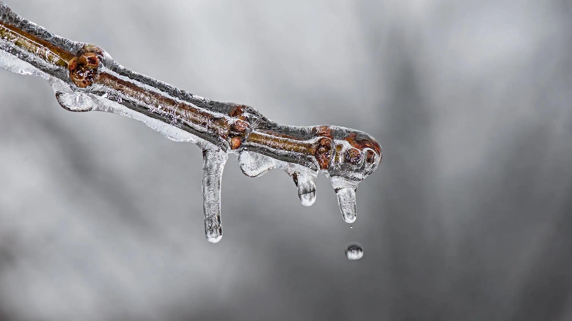 Freeze-Thaw MIL-STD-810
